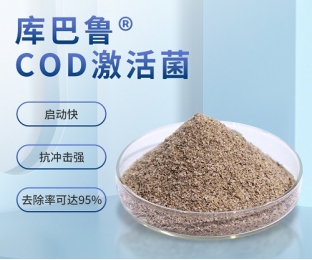 庫巴魯?COD激活菌301